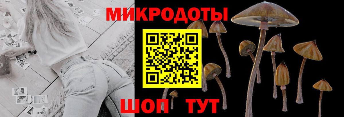 Псилоцибиновые грибы MAGIC MUSHROOMS  Вход с VPN  Нурлат  Псилоцибиновые грибы Magic Shrooms 