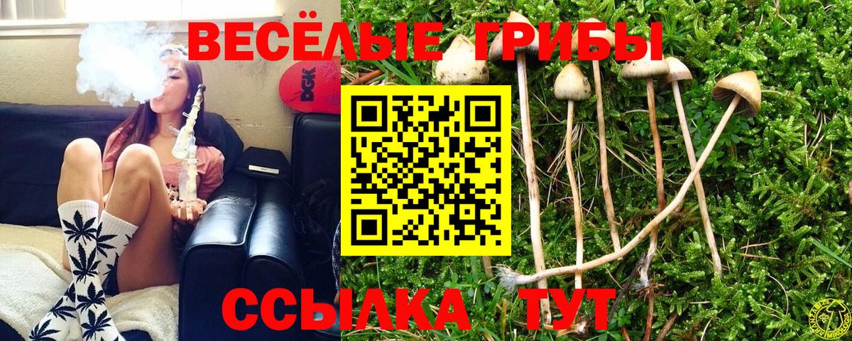 Псилоцибиновые грибы Psilocybine cubensis Нурлат